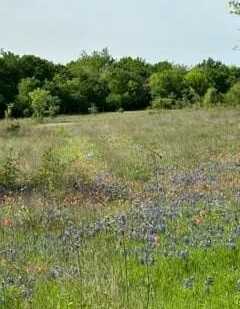 35 Longview Creek Trail, Itasca, TX 76055