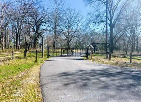 0000 County Road 2319, Pittsburg, TX 75686