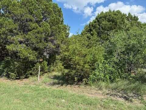 40038 Fringewood Drive, Whitney, TX 76692