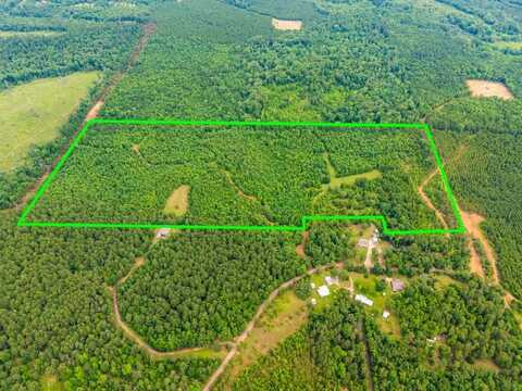 3536 & Tbd CR 1579, Avinger, TX 75630