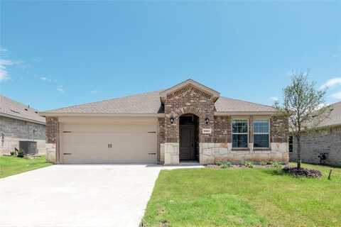 3917 Amethyst Drive, Celina, TX 75009