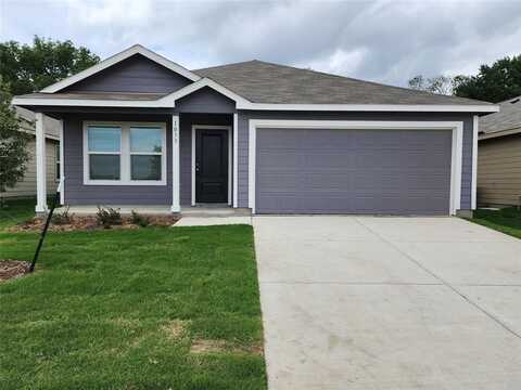 1033 Macnab Drive, Princeton, TX 75407