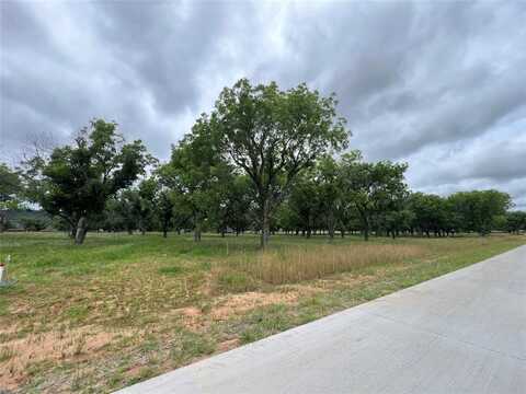 3107 E Landings South, Granbury, TX 76049