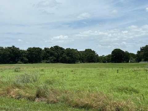 27142 Whispering Meadow Drive, Whitney, TX 76692