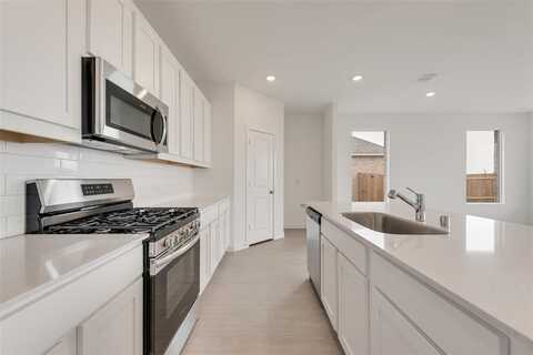 1821 Bog Spruce Lane, McKinney, TX 75071