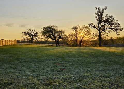 509 Bush Buck Way, Bullard, TX 75757