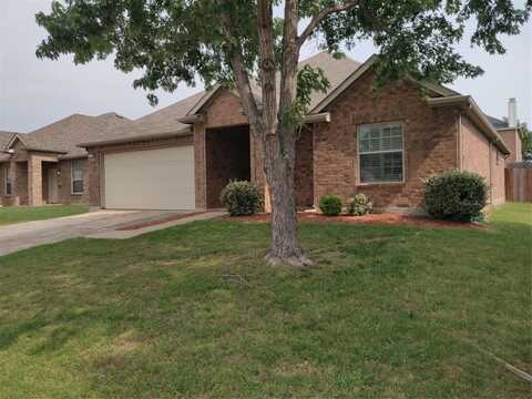 1917 Silver Leaf Drive, Little Elm, TX 75068