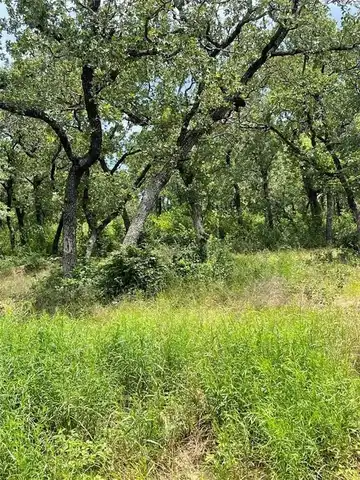 Tbd FM 1658, Bridgeport, TX 76426