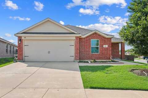 900 Sapphire Drive, Princeton, TX 75407