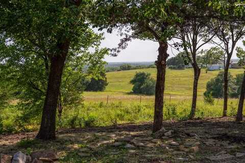 Tbd Pink Hill Road, Bells, TX 75414