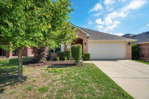 2404 Castle Creek Drive, Little Elm, TX 75068
