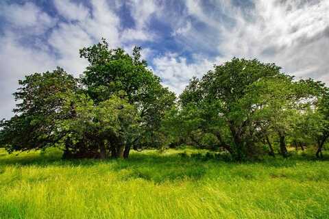 Tbd N. College Rd, Bryson, TX 76427