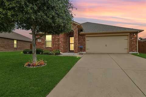 3216 Elam Drive, Anna, TX 75409