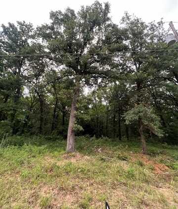 117 Inca Trail, Mabank, TX 75156
