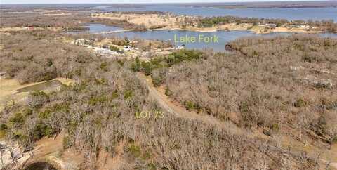 Lot 73 Rs County Road 3376, Emory, TX 75440