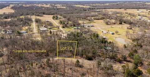 Lot 73 Rs County Road 3376, Emory, TX 75440
