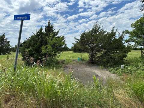 Lot 7 Lemonade Ln., Farmersville, TX 75442