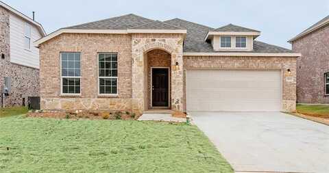 803 Cormorant Street, Princeton, TX 75407