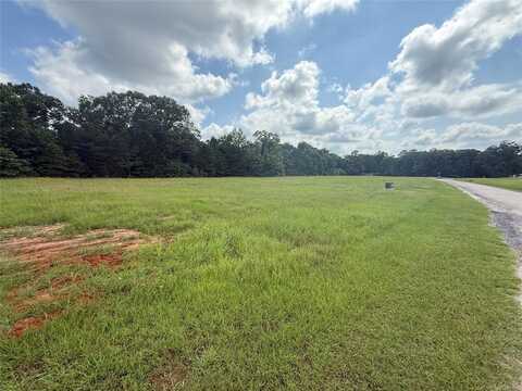 0000 County Road 2138, Pittsburg, TX 75686