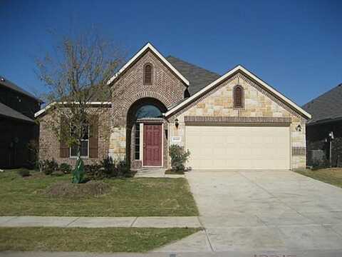12217 Candle Island Drive, Frisco, TX 75036