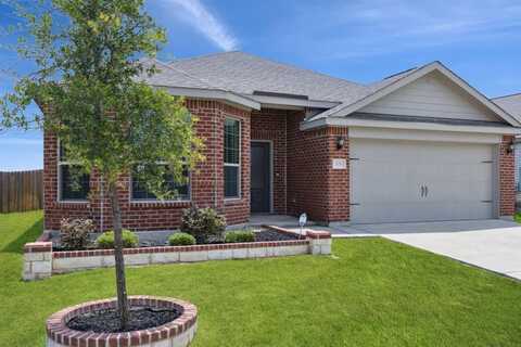 203 Lake Ridge, Princeton, TX 75407