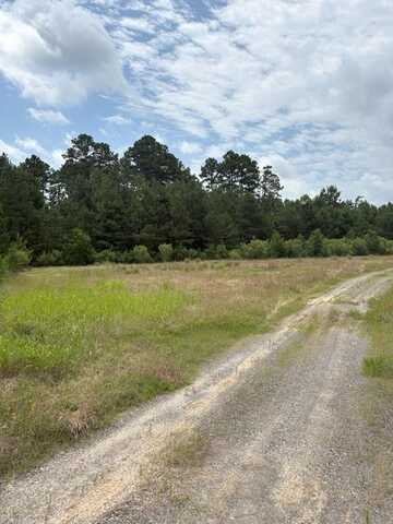 Tbd County Road 425, Tenaha, TX 75974