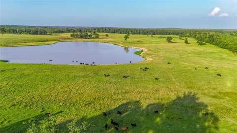 9759 Texas Highway 155, Avinger, TX 75630