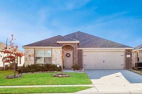 2117 Shady Glen Trail, Princeton, TX 75407
