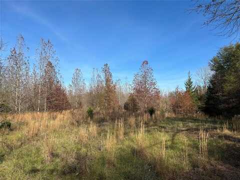 Tract A County Road 1412, Bogata, TX 75426