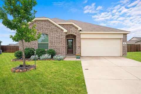 4917 Woodloch Drive, Princeton, TX 75407