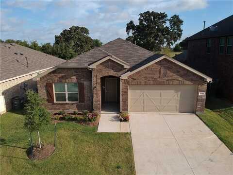 2437 Opaline Drive, Little Elm, TX 76227