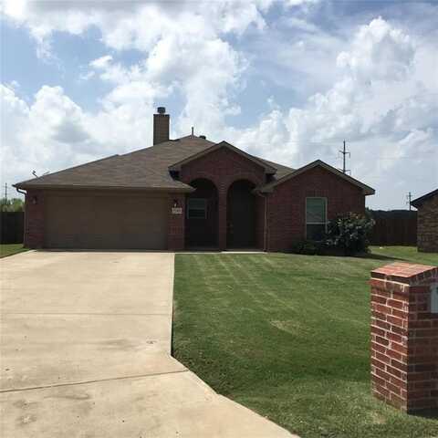 7205 Hackberry Court, Granbury, TX 76048