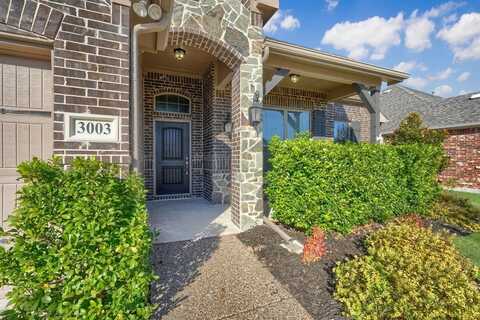 3003 Winchester Avenue, Melissa, TX 75454