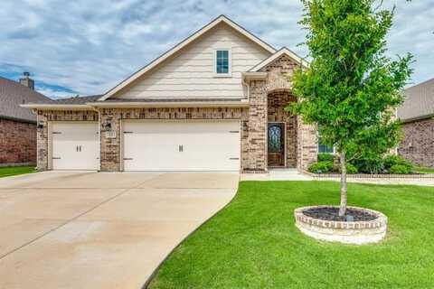 3133 Greymoore Drive, Anna, TX 75409
