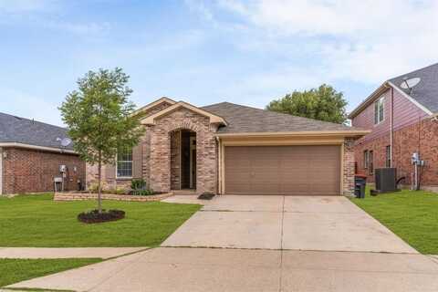 306 Niagara Falls Drive, Anna, TX 75409