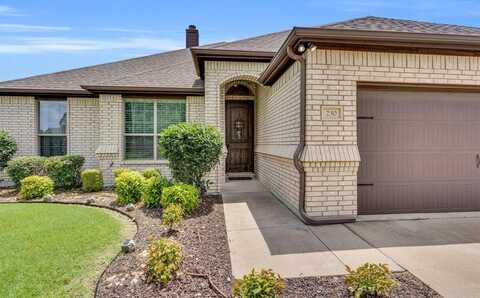 230 Canterbury Court, Midlothian, TX 76065