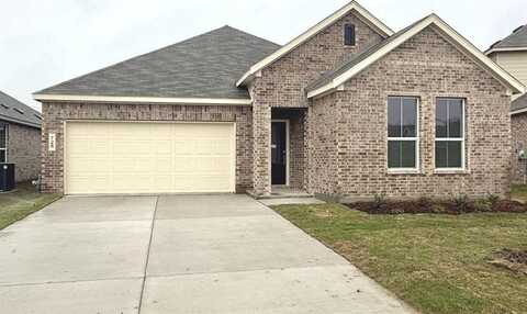 726 Madrono Drive, Princeton, TX 75407