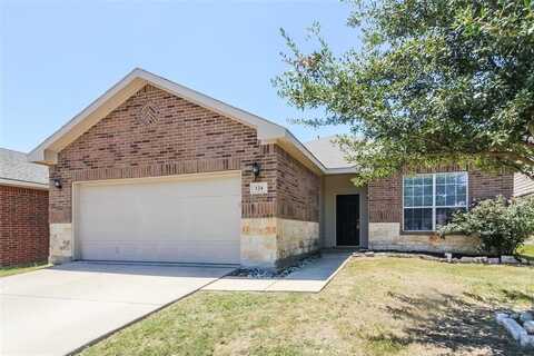 124 Lone Star Avenue, Venus, TX 76084