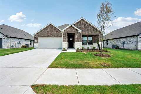 1020 Chestnut Drive, Lavon, TX 75166