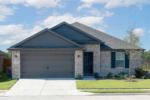 3329 Longfellow Avenue, Anna, TX 75409