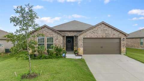 1312 Honeysuckle Drive, Josephine, TX 75189