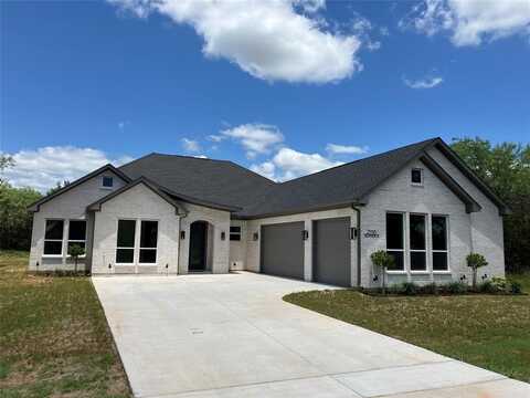 23116 Greenbriar Drive, Whitney, TX 76692