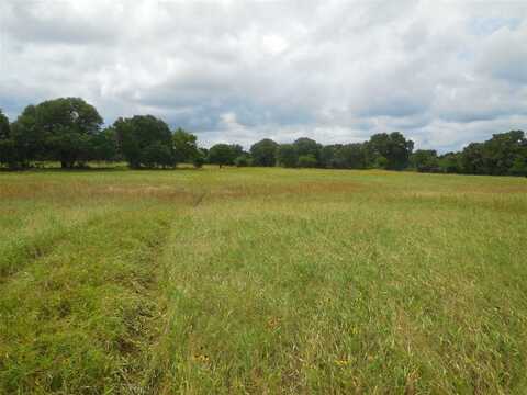 Tbd County Road 488, Ranger, TX 76470