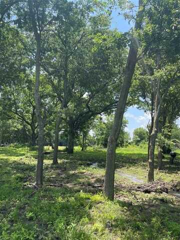 Tbd Longview Creeek Trail, Itasca, TX 76055