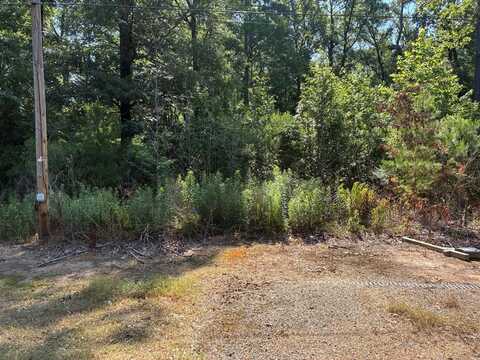 134 E. Cloverleaf, Haughton, LA 71037