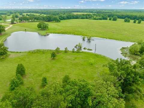 1299 County Road 16590, Pattonville, TX 75468