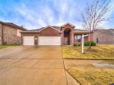 14923 Lone Spring Drive, Little Elm, TX 75068