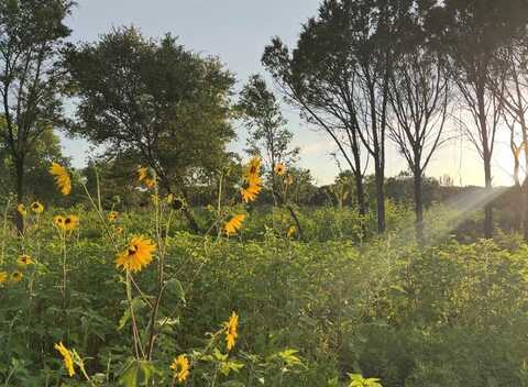 Tbd Hwy 220 Tract 6, Hico, TX 76457
