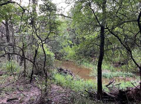 Tbd Hwy 220 Tract 5, Hico, TX 76457