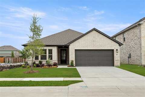805 Roanoke, Princeton, TX 75407